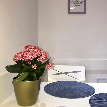 “kresimir” Apartment *